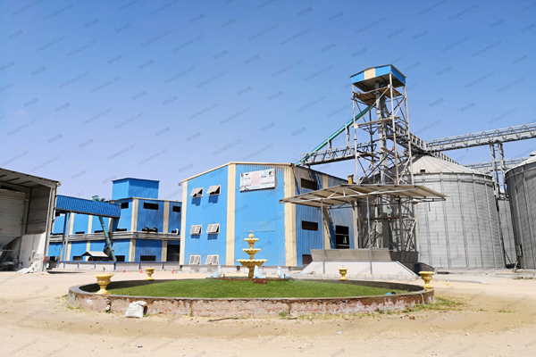 مصنع توريد زيت بذور اللفت في مصر آلة صنع النفط الرخيصة للبيع