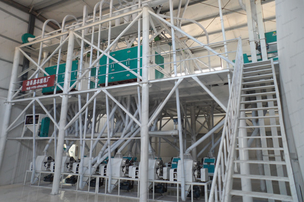 آلة ضغط الزيتآلة ضغط الزيت اللولبية الأوتوماتيكية من جيبوتي بناء مصنع