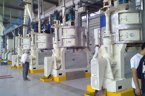 آلة ضغط الزيتآلة ضغط الزيت الهيدروليكي نواة النخيل التجارية على نطاق صغير